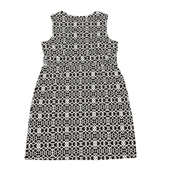 J. McLaughlin Brown and White Patterned Sleeveless Sheath Dress, Size L - Picture 4 of 9